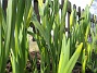 Bild 046  
  
2006-04-12 Bild 046
