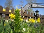  (2009-04-29 013)