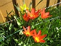  (2010-04-24 034)