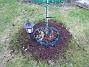 039  
  
2010-04-24 039