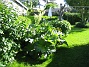  (2010-06-12 IMG_0108)