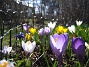  (2011-04-09 045)
