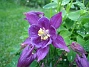  (2013-05-26 IMG_0016)