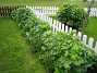  (2013-05-26 IMG_0034)