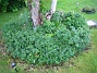  (2013-05-26 IMG_0043)