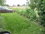 Det nysådda gräset blev riktigt fint. Dessa bilder är tagna en mulen junidag, strax innan regnet.                                (2020-06-22 Bakgården_0039)