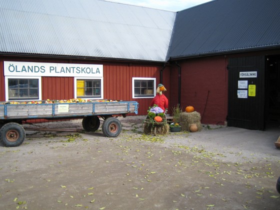 Ölands Plantskola 
