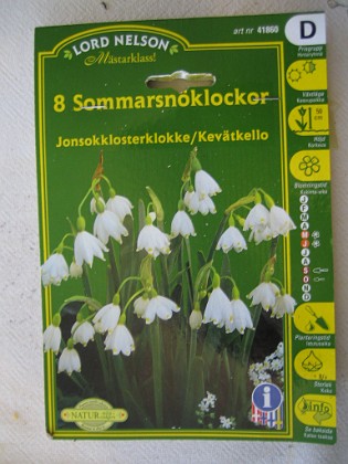 Sommarsnöklocka 
