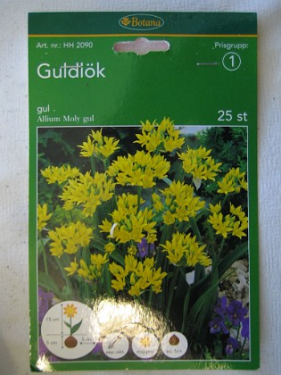 Guldlök 
