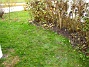 På baksidan har jag planterat nytt gräs, där jag tidigare hade en stor jordhög. (2005-11-05 IMG_0074)