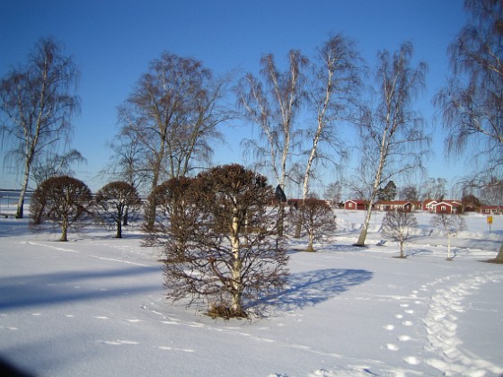 Fotspår i snön 
