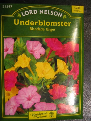 Underblomster 
