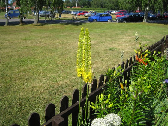 Kleopatras Nål  
  
2006-07-02 Bild 012  
Granudden  
Färjestaden  
Öland