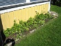 Bild 023  
  
2006-07-02 Bild 023