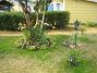 Bild 049  
  
2006-07-21 Bild 049