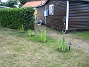 Bild 031  
  
2006-08-05 Bild 031