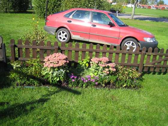 Staket, vänster 
Bilden visar rabatten vid staketet, vänster om grinden. Nyplanterade Ljungaster 'Victoria' syns i mitten (lila blommor).