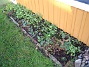 Bild 009  
  
2006-12-22 Bild 009