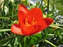  (2007-04-06 Bild 017)