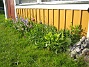  (2007-05-17 Bild 048)