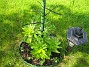 Bild 047  
  
2007-05-27 Bild 047