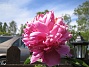  (2007-06-20 Bild 012)