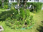 Bild 025  
  
2007-06-20 Bild 025