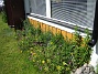 Bild 034  
  
2007-06-20 Bild 034