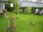 Rosbusken i förgrunden. (2007-10-07 Bild 051)