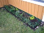 Här i vinkeln har jag satt ett litet staket som stöd för mina tulpaner. (2008-03-01 Bild 063)