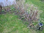 Bild 045  
  
2008-04-12 Bild 045