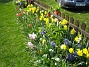  (2008-04-26 Bild 014)