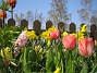 (2008-04-26 Bild 038)