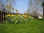  (2008-04-26 Bild 093)