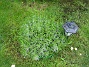 Bild 014  
  
2008-05-17 Bild 014