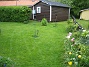 Tulpan  
  
2008-05-17 Bild 028