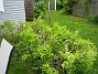 Bild 043  
  
2008-05-17 Bild 043