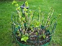 Bild 066  
  
2008-05-17 Bild 066