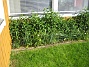 Bild 115  
  
2008-06-07 Bild 115