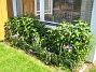 Bild 021  
  
2008-06-15 Bild 021