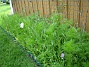 Bild 072  
  
2008-06-20 Bild 072