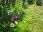  (2008-07-07 Bild 026)