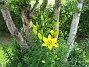  (2008-07-07 Bild 049)