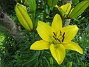  (2008-07-07 Bild 050)