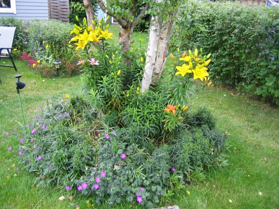 Björken  
  
2008-07-12 Bild 071  
Granudden  
Färjestaden  
Öland