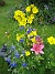  (2008-07-12 Bild 081)