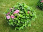  (2008-08-16 Bild 021)