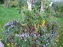  (2008-09-28 Bild 042)