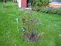  (2008-09-28 Bild 043)