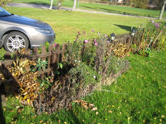 Granudden  
Jag vill gärna understryka, att denna gången har jag inte haft tid med något trädgårdsarbete. Det syns!  
2008-10-19 004  
Granudden  
Färjestaden  
Öland